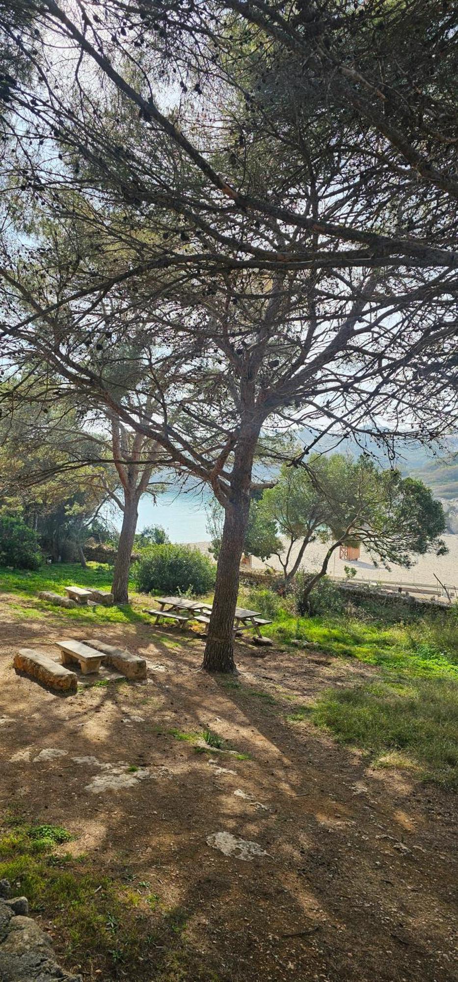 Casa Domingos Cales De Mallorca Екстер'єр фото